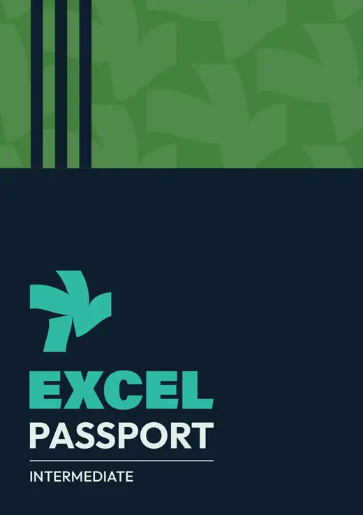 Excel Passport, Intermediate level